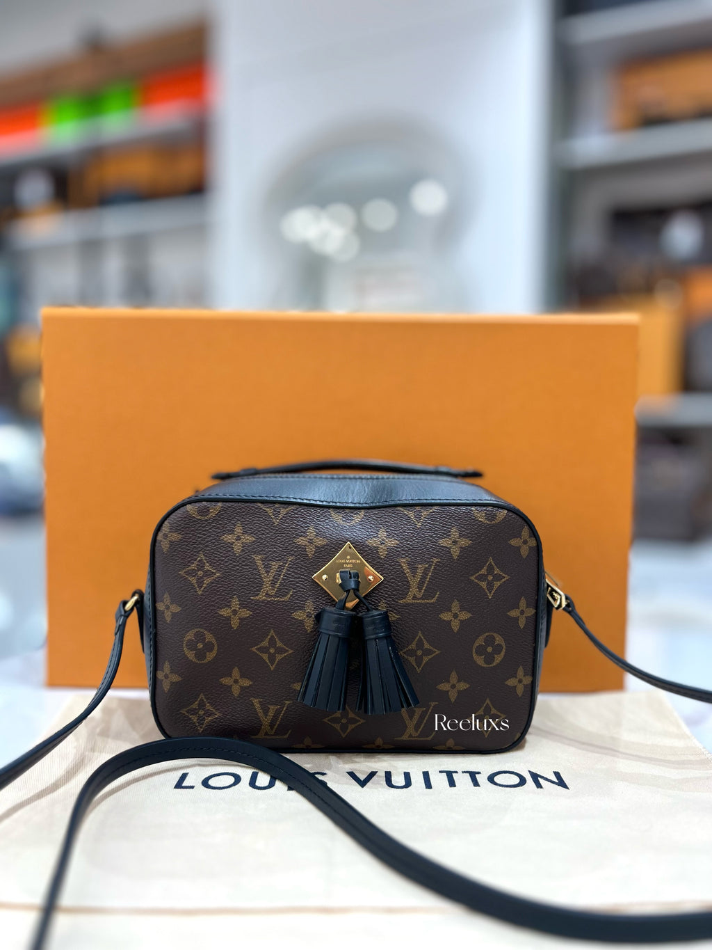 LOUIS VUITTON LV Monogram Saintonge Crossbody Bag
