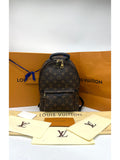 Louis Vuitton Monogram Canvas Palm Springs PM Backpack - Reeluxs 