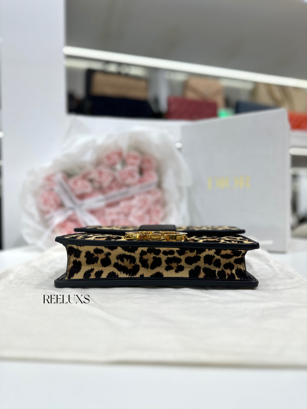 CHRISTIAN DIOR 30 Montaigne Bag