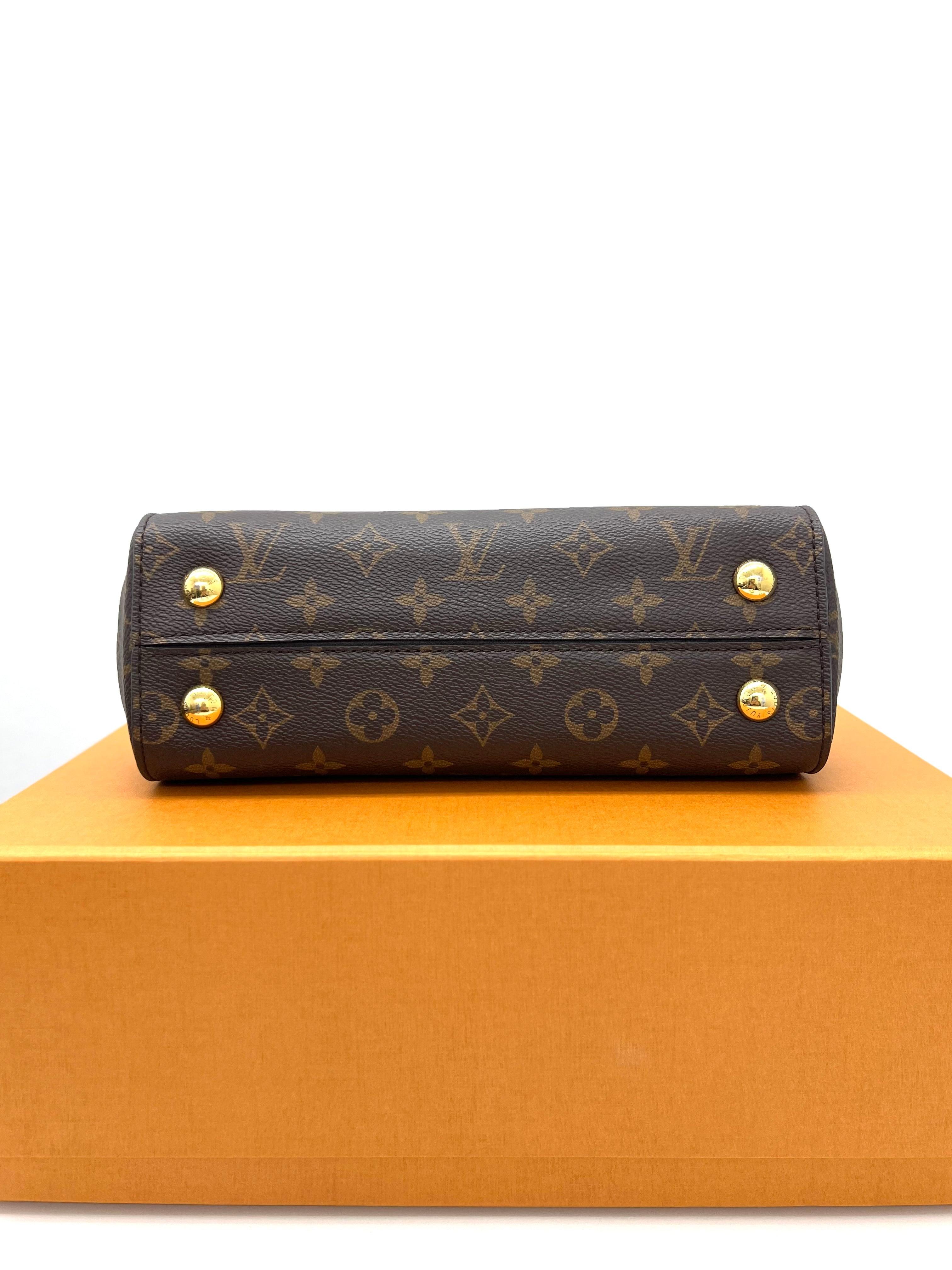 Louis Vuitton Cluny BB Monogram Canvas - Reeluxs 