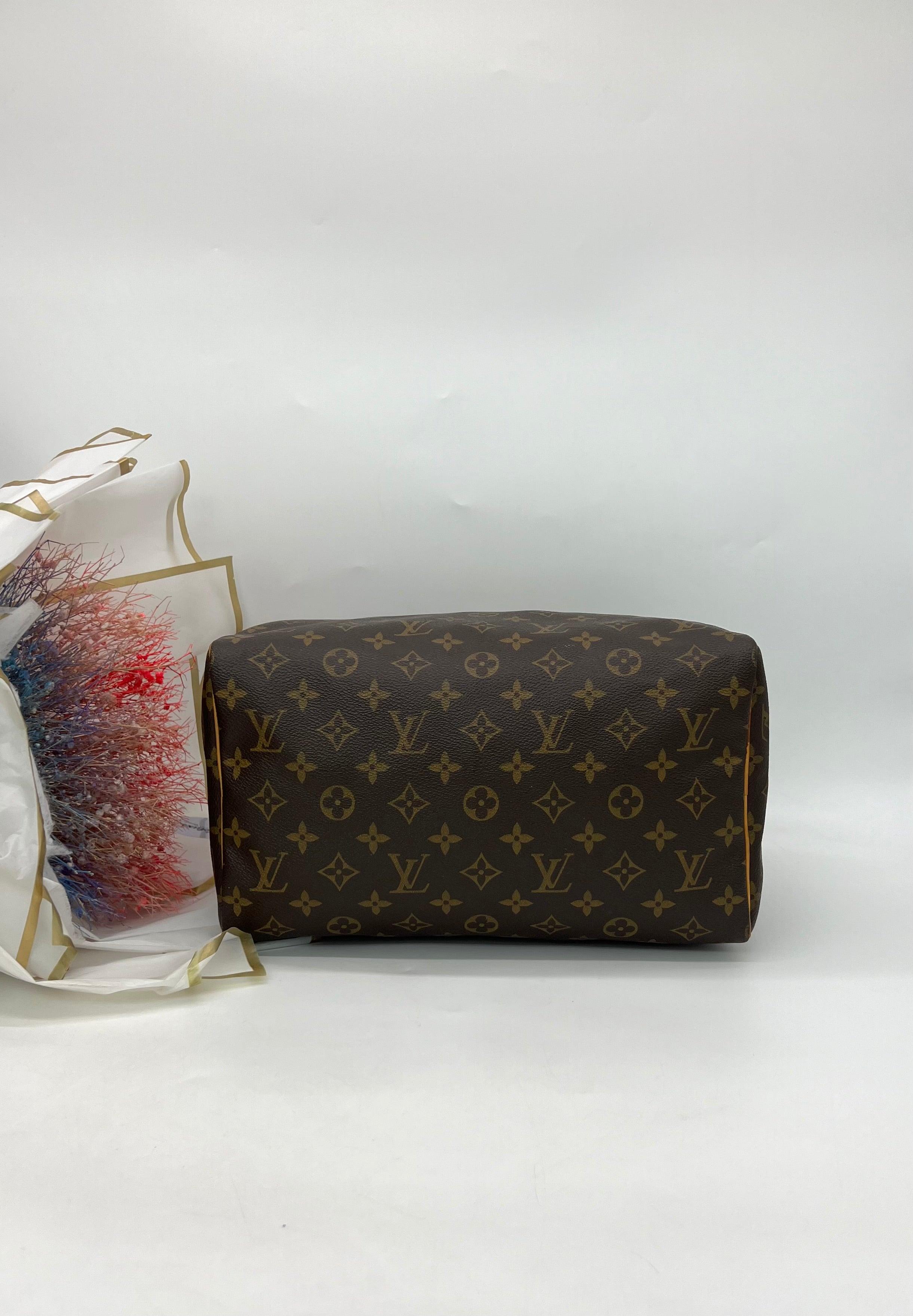 LOUIS VUITTON Speedy 30 Ladies Handbag - Reeluxs 