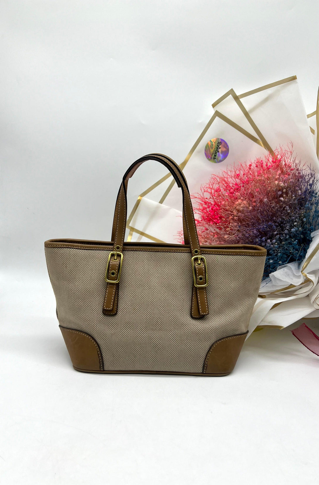 COACH Beige Brown Canvas & Leather Handbag - Reeluxs 