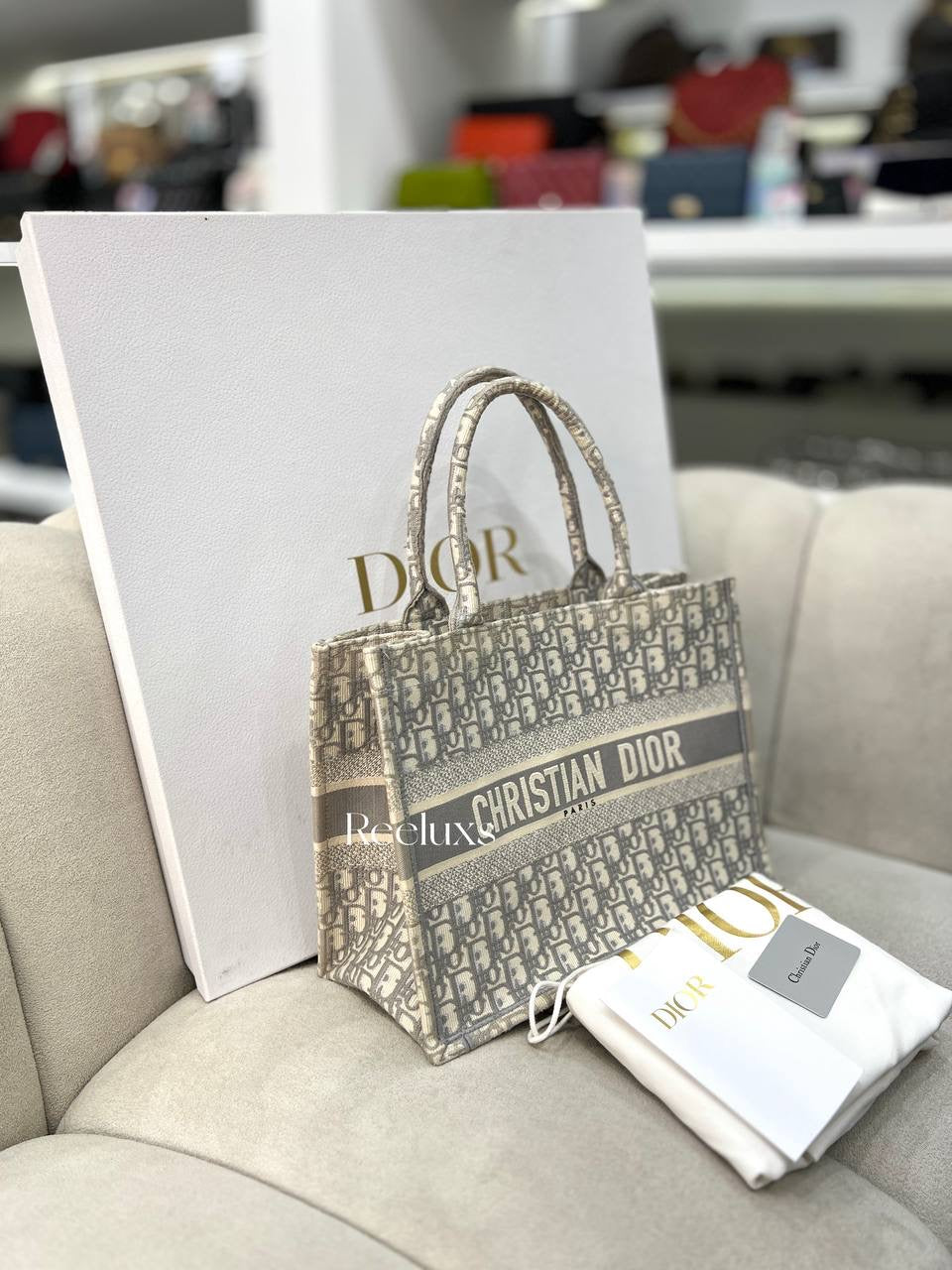 CHRISTIAN DIOR Book Tote Bag In Medium Size