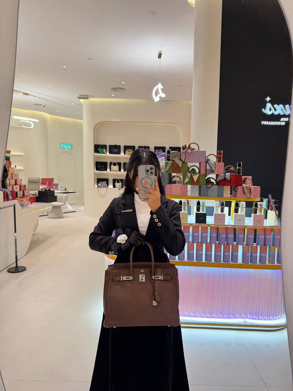 HERMES Birkin 35 Leather Hand Bag ( SHW )