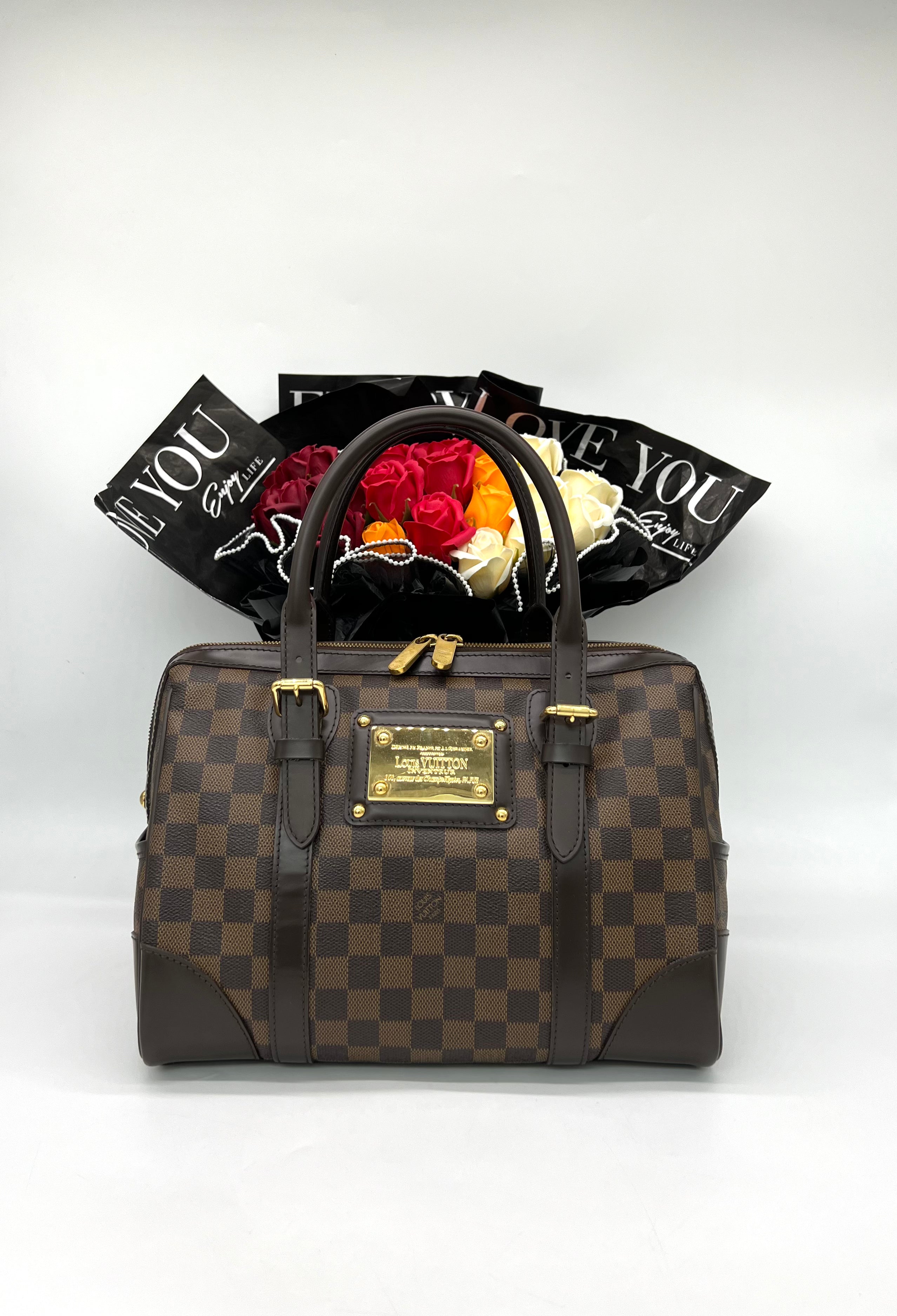 LOUIS VUITTON Berkeley Damier Ebene Handbag - Reeluxs 