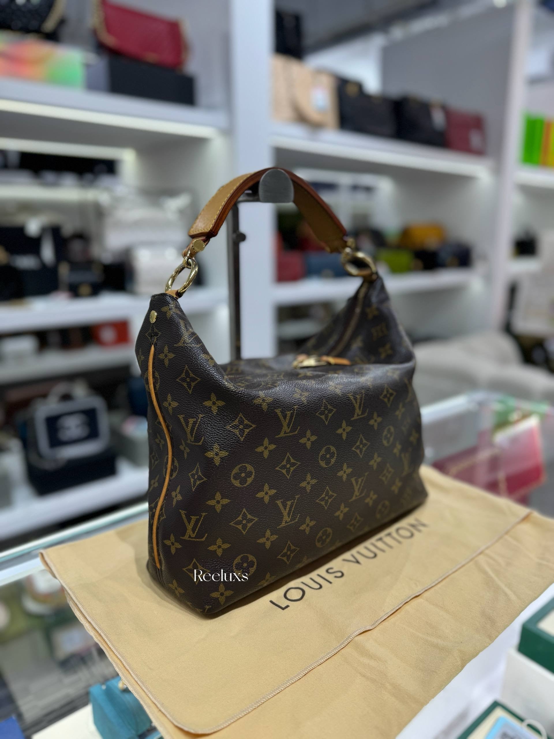 LOUIS VUITTON Sully Hobo Bag In the Iconic Monogram  Canvas
