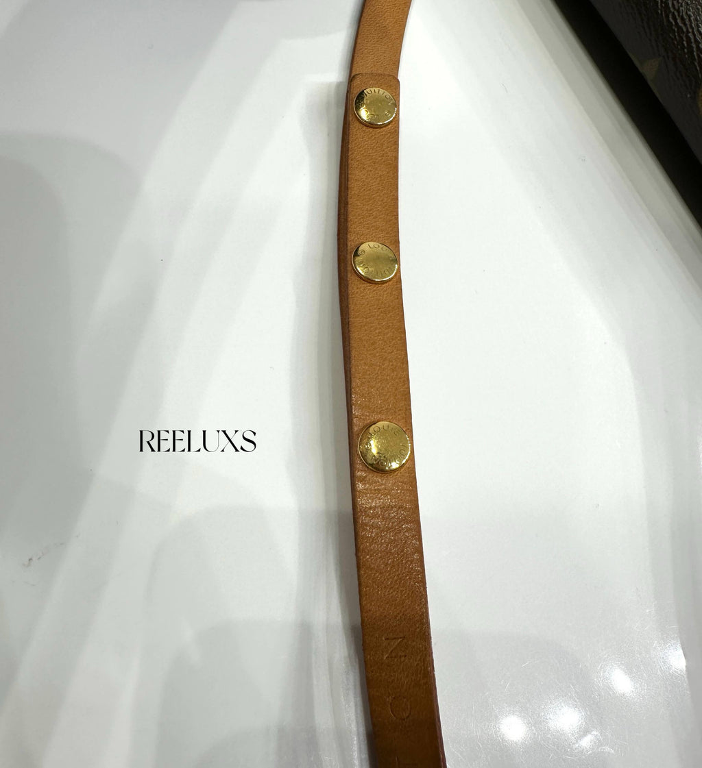 LOUIS VUITTON Monogram Pochette Florentine Waist Bag