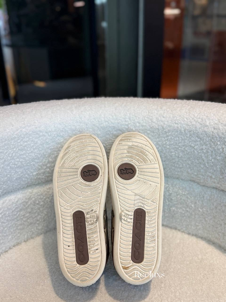 Coach Mott Driver Khaki Signature Loafers