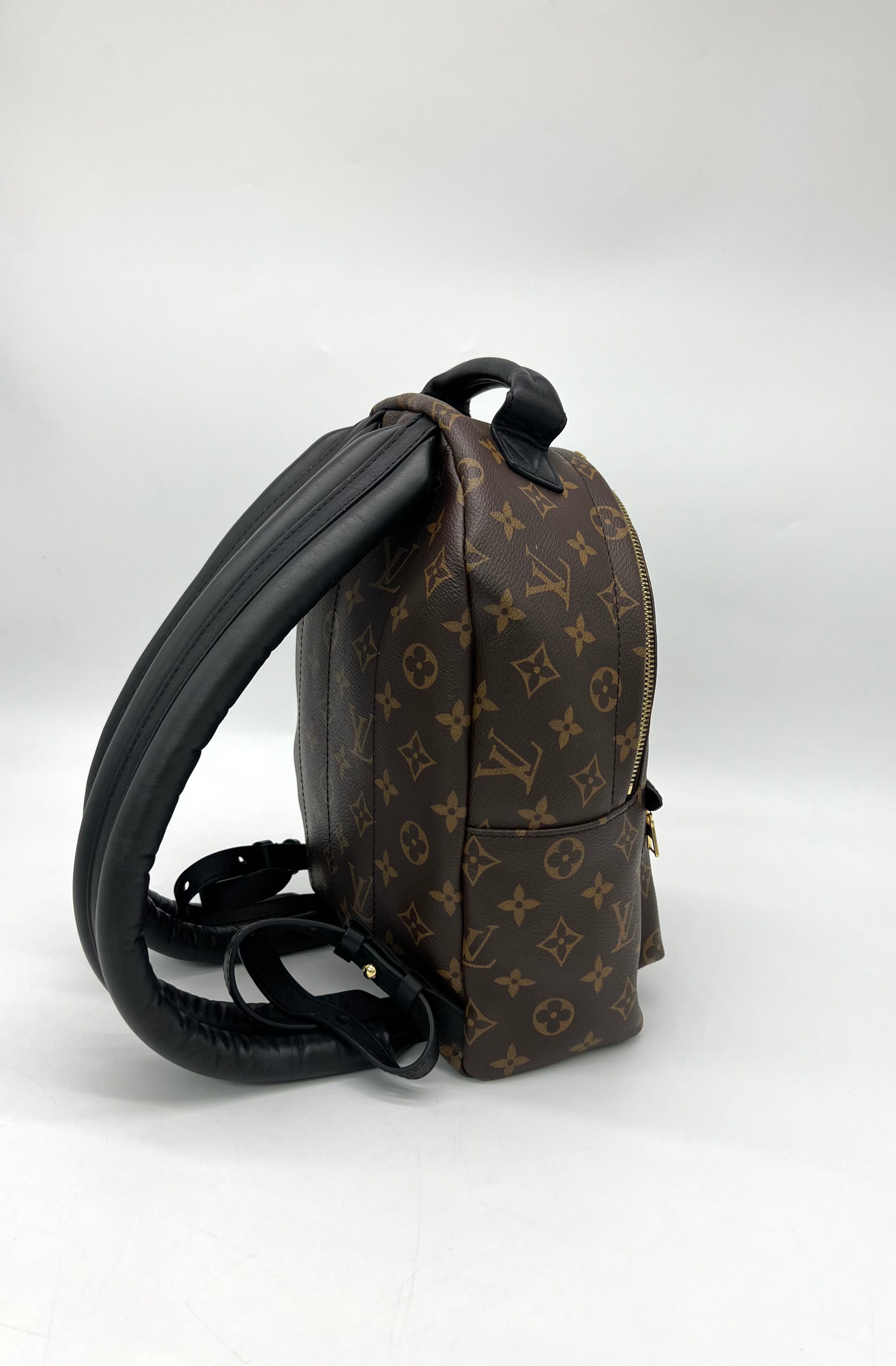 Louis Vuitton Monogram Canvas Palm Springs PM Backpack - Reeluxs 