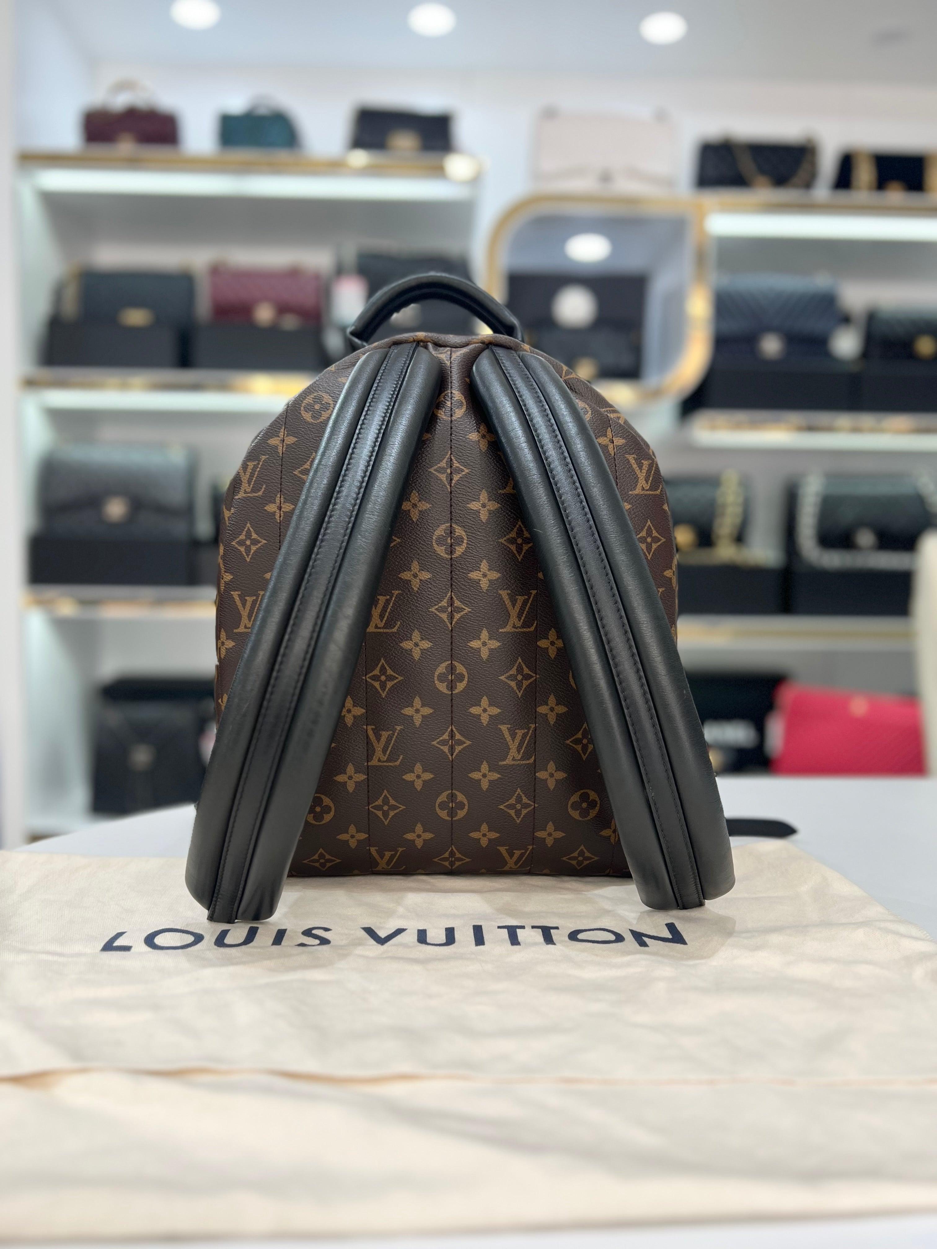 LOUIS VUITTON Palm Springs MM Unisex Backpack - Reeluxs 