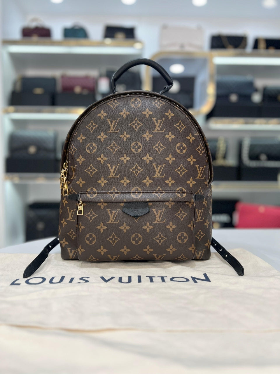 LOUIS VUITTON Palm Springs MM Unisex Backpack - Reeluxs 