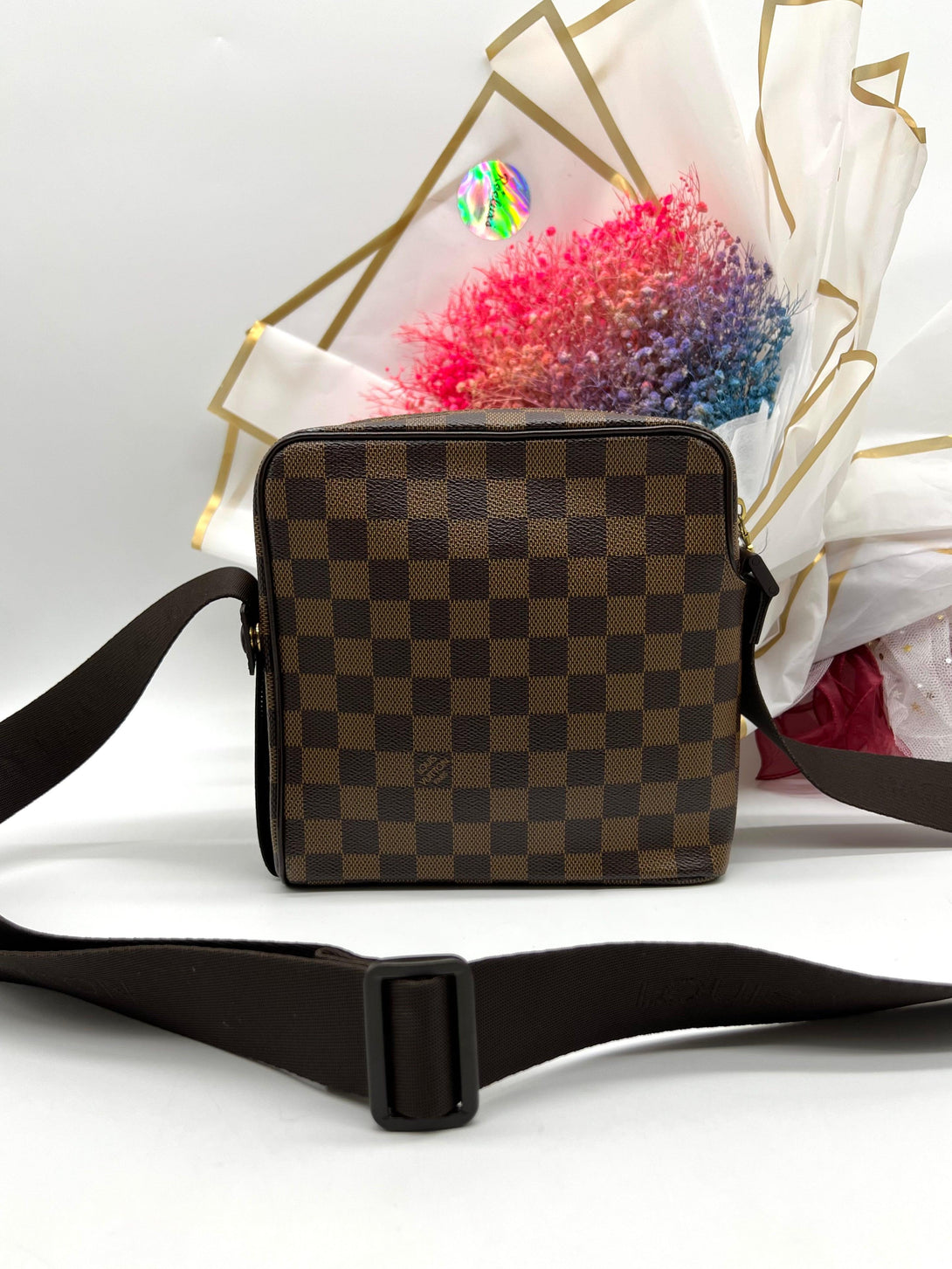 LOUIS VUITTON Olav PM shoulder bag - Reeluxs 