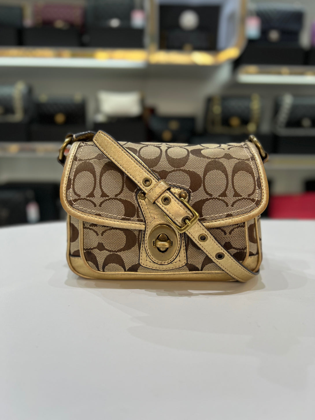 COACH Vintage Crossbody Bag For Women - Reeluxs 