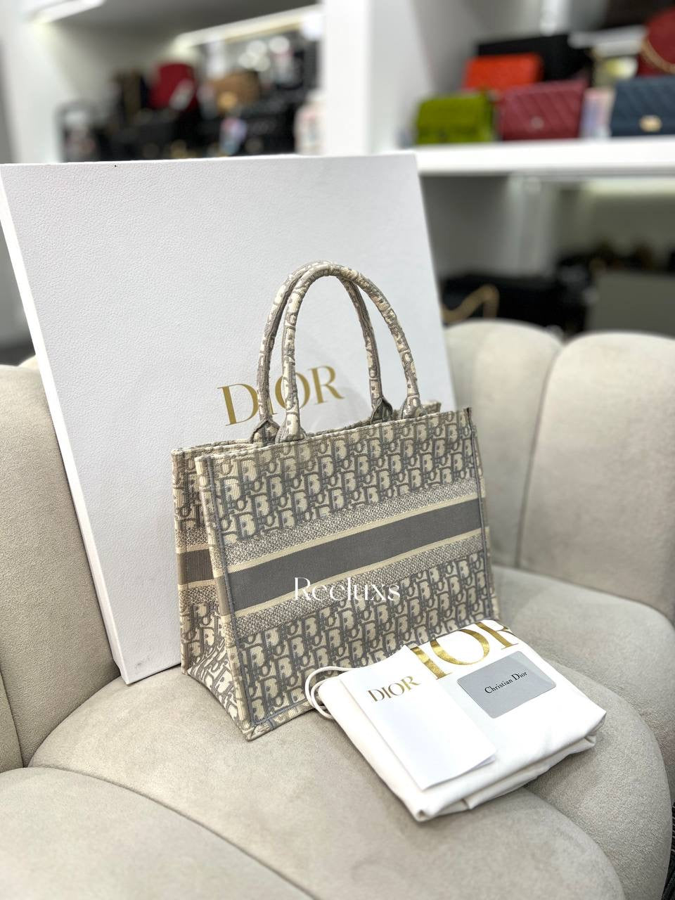 CHRISTIAN DIOR Book Tote Bag In Medium Size