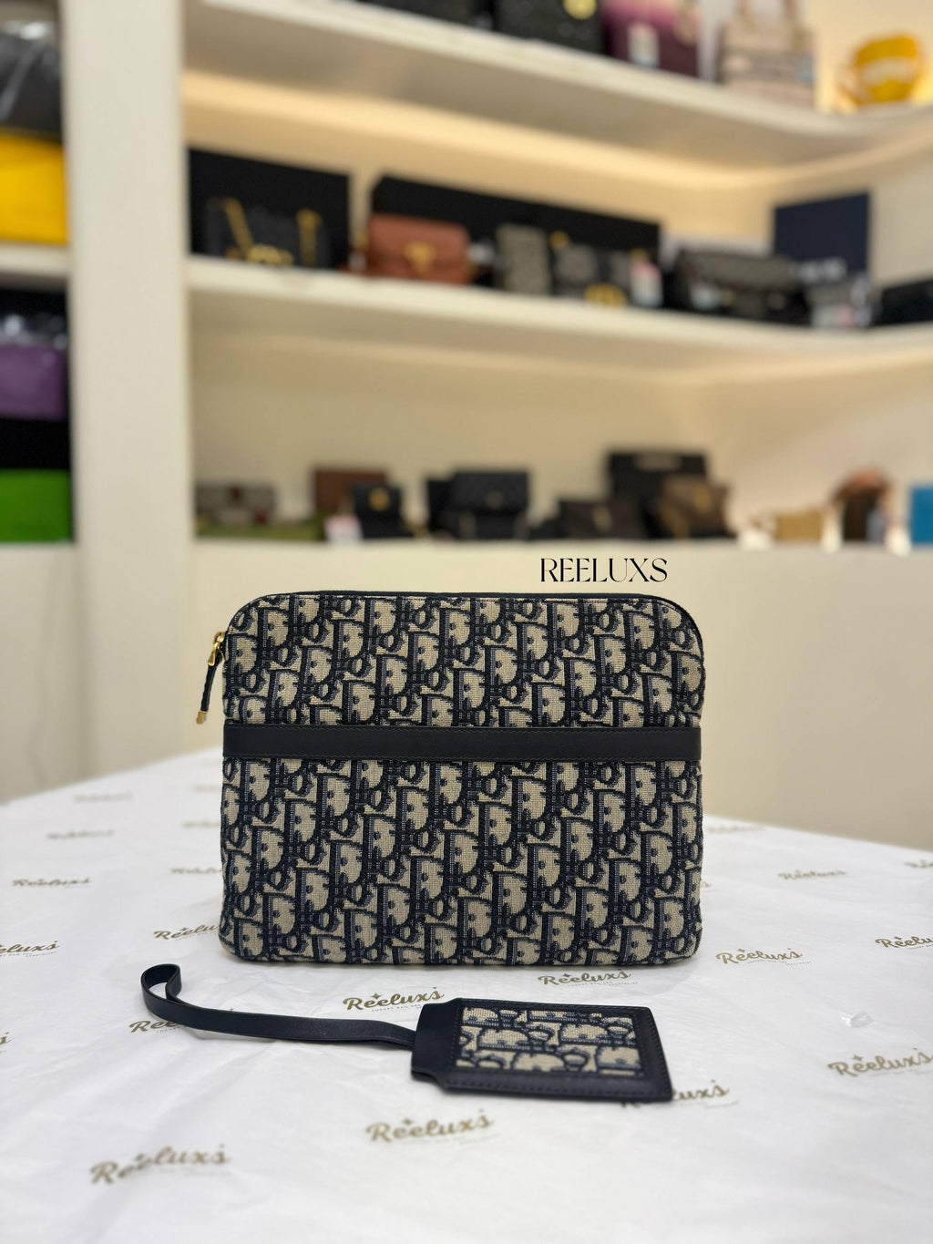 CHRISTIAN DIOR Oblique Travel Pouch