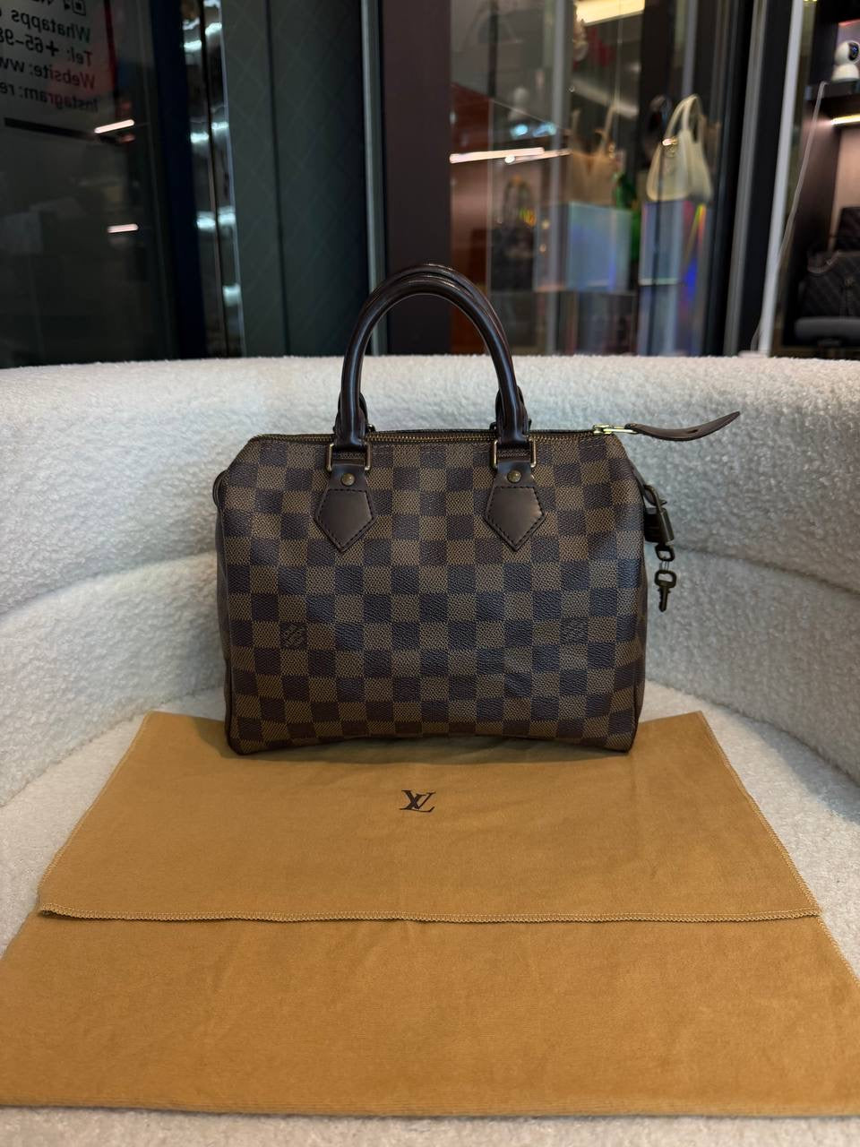 Louis Vuitton Speedy 25 Damier Ebene