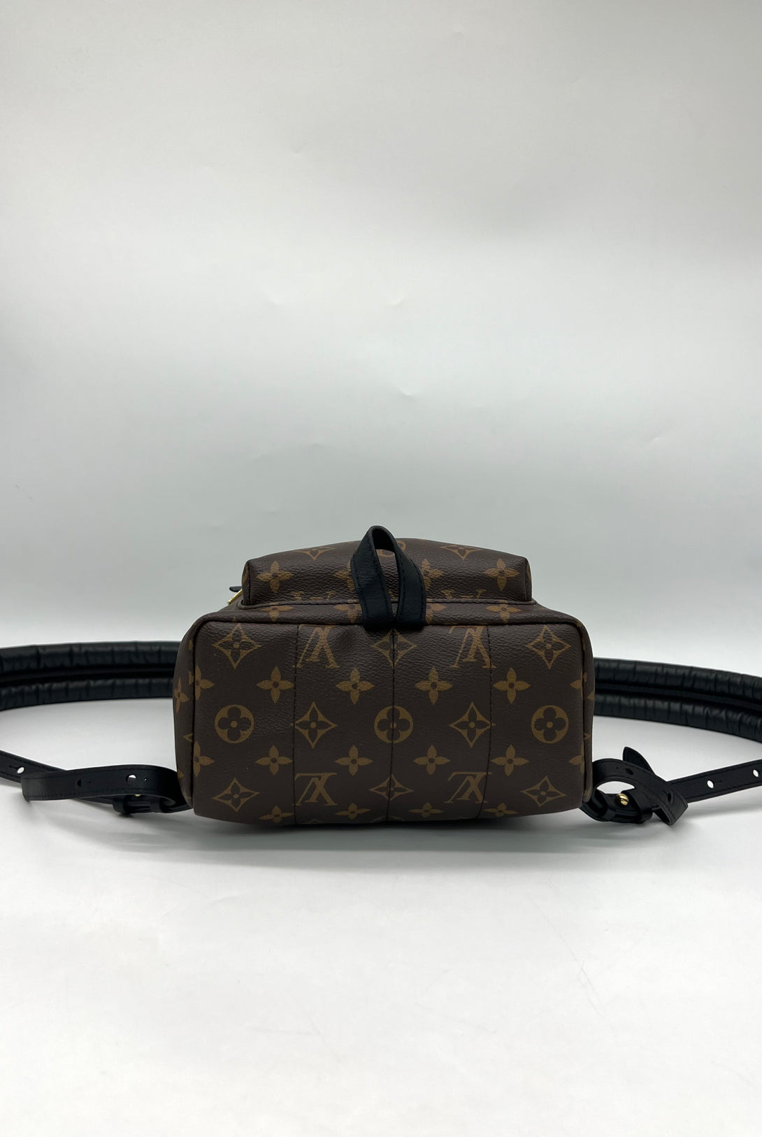 Louis Vuitton Monogram Canvas Palm Springs PM Backpack - Reeluxs 