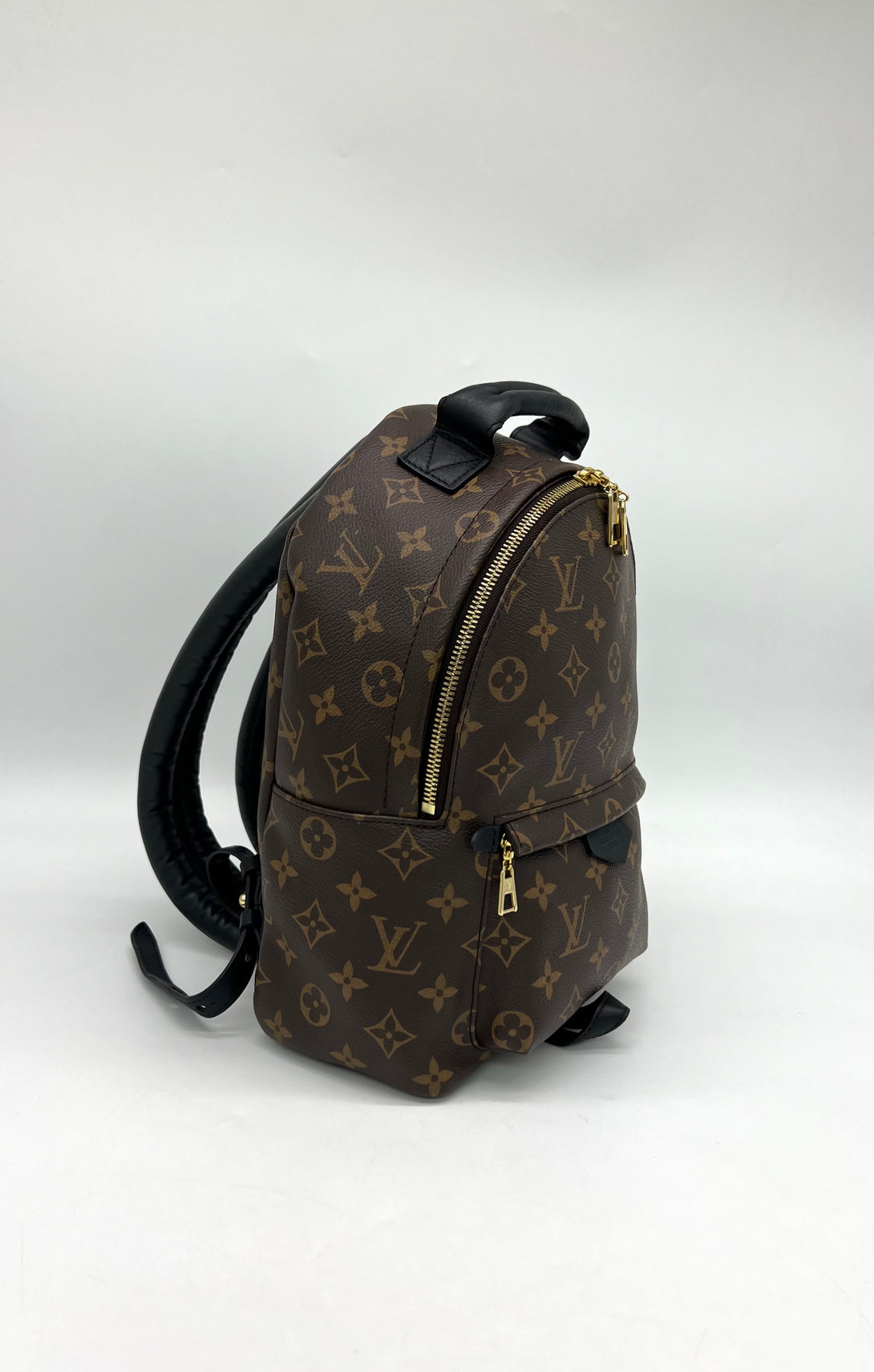 Louis Vuitton Monogram Canvas Palm Springs PM Backpack - Reeluxs 