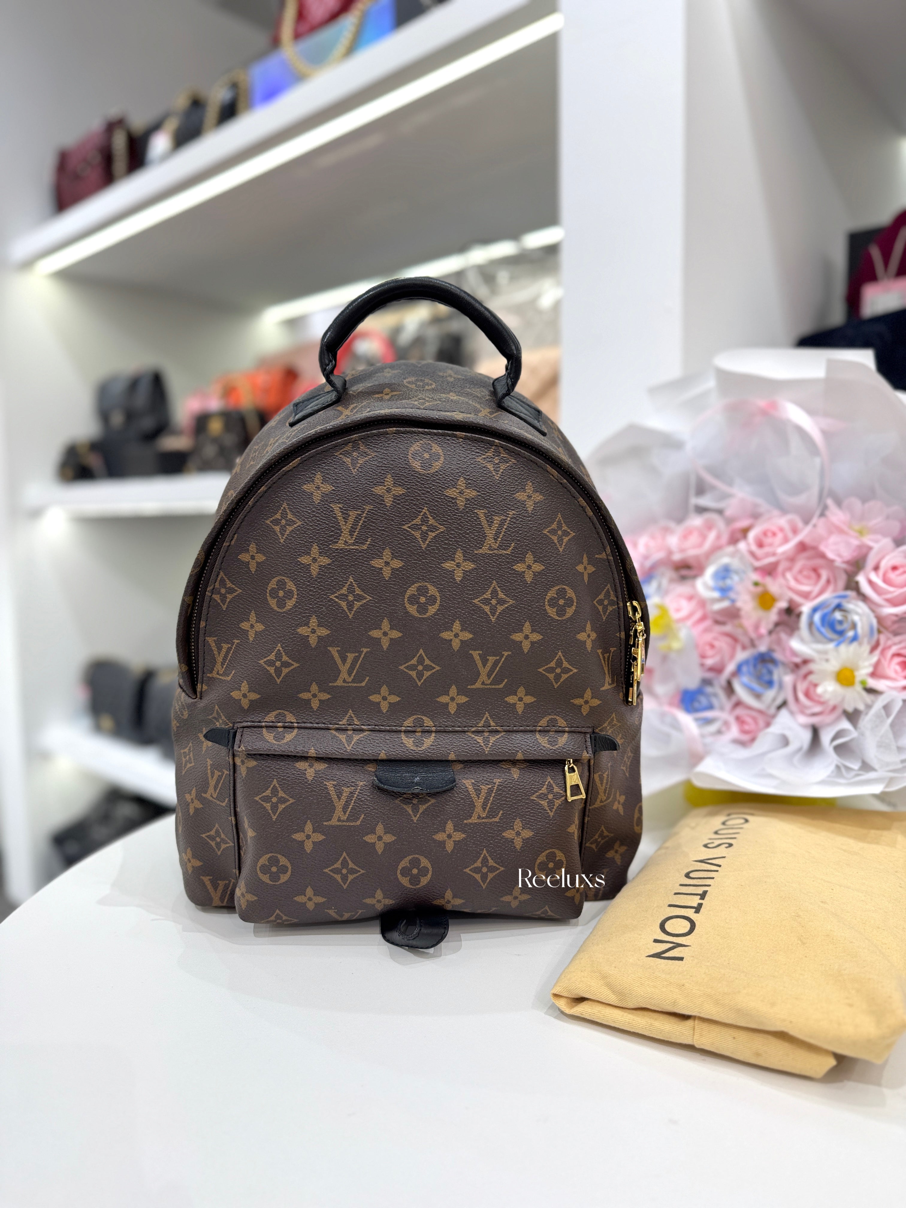 LOUIS VUITTON Palm Springs MM Backpack Monogram Coated Canvas