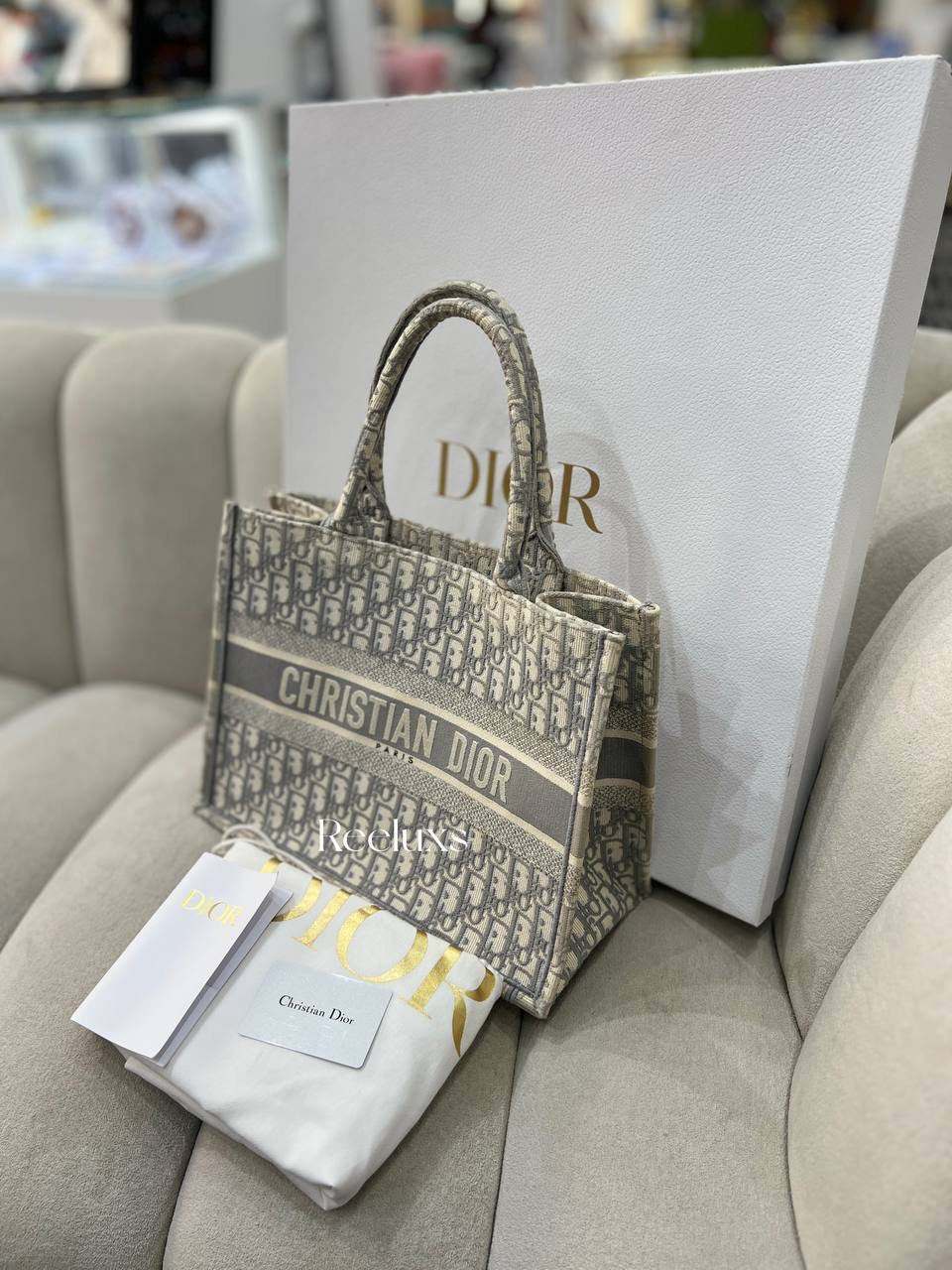 CHRISTIAN DIOR Book Tote Bag In Medium Size