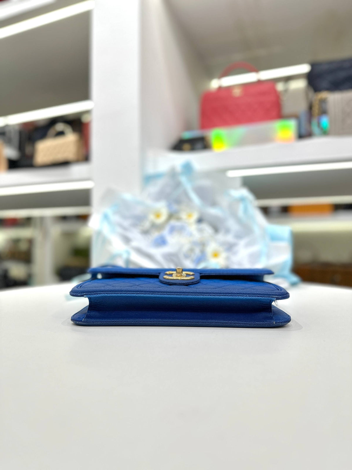 CHANEL ""Sunset on the Sea"" Flap Bag
