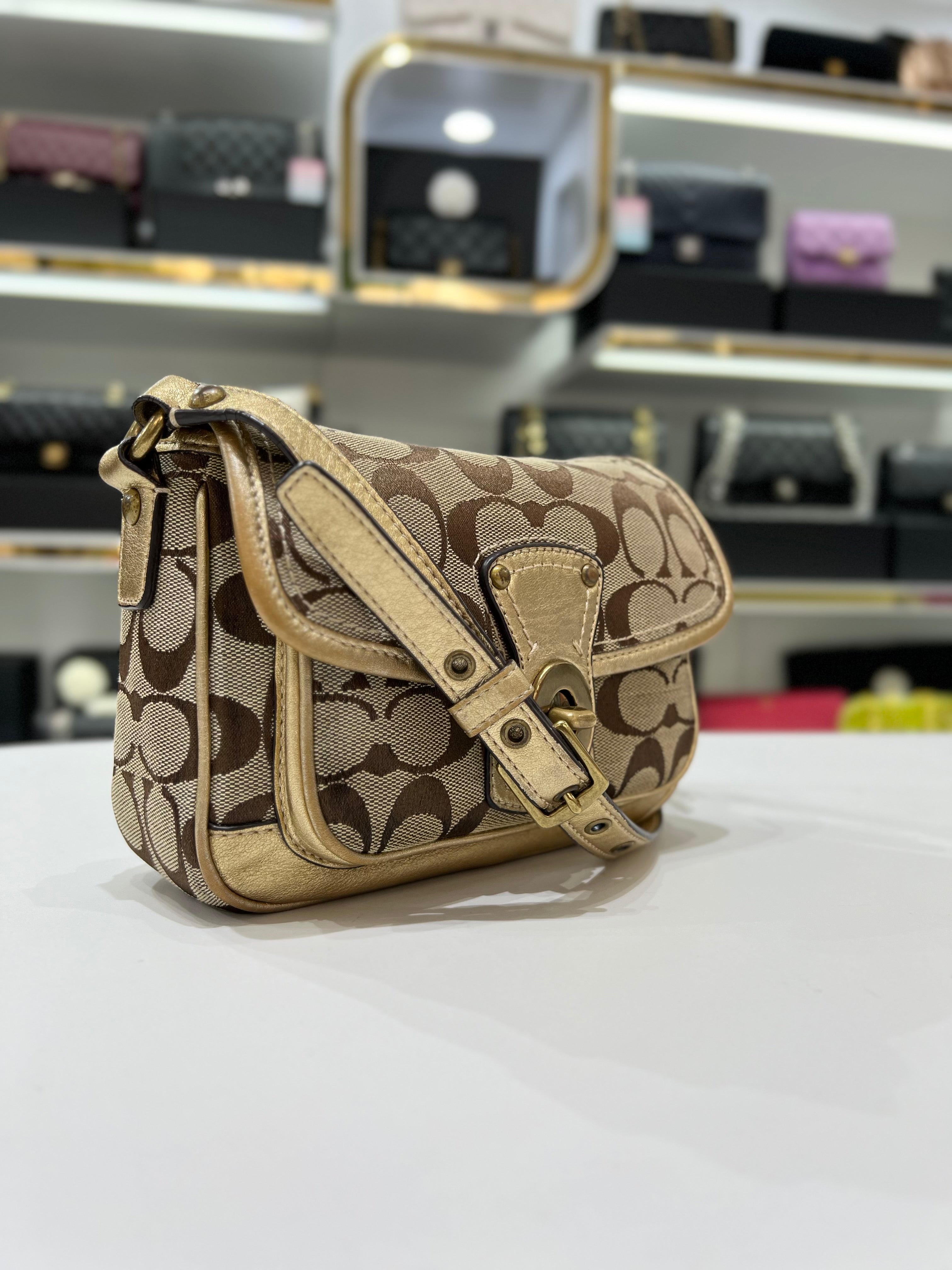 COACH Vintage Crossbody Bag For Women - Reeluxs 