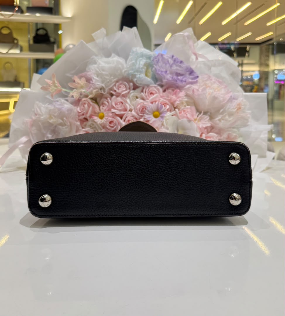 LOUIS VUITTON Taurillon Leather Capuciness Bag