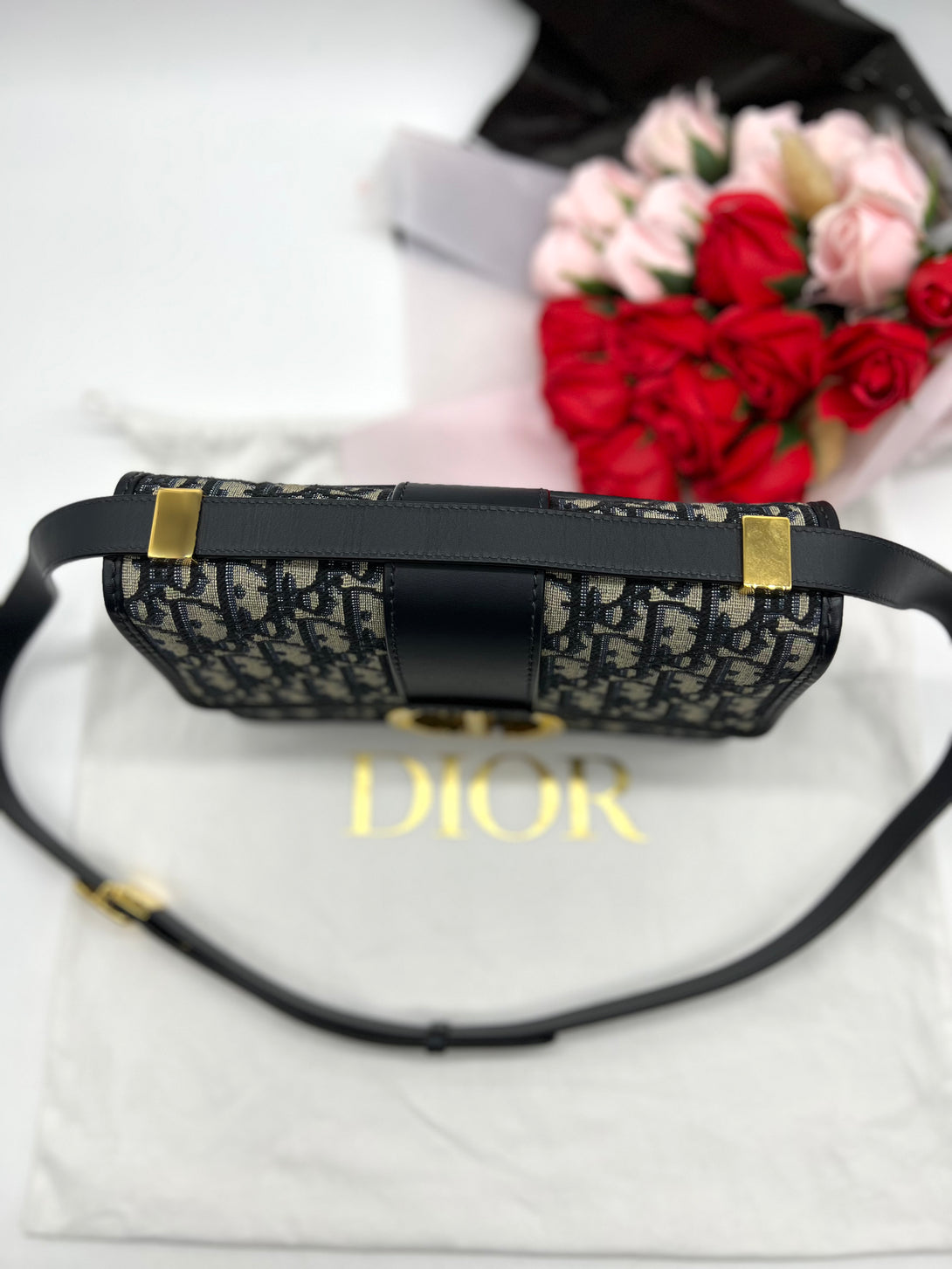 CHRISTIAN DIOR Oblique Montaigne Crossbody - Reeluxs 