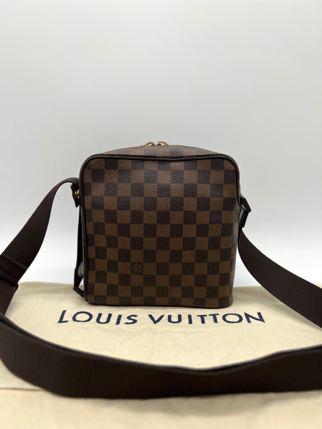 LOUIS VUITTON Damier Olaf PM Shoulder Bag Pochette - Reeluxs 