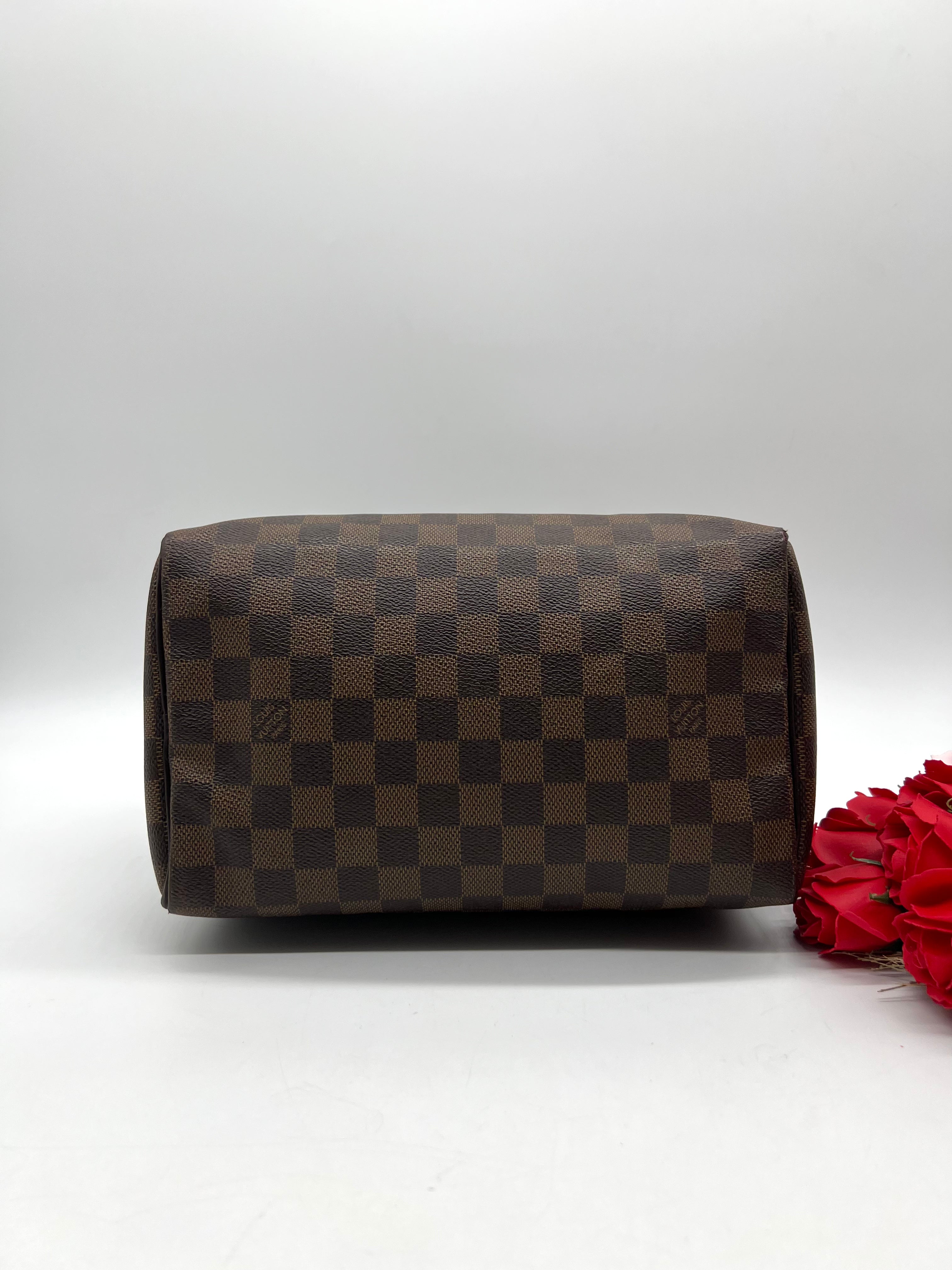 Louis Vuitton Speedy 25 Damier Canvas Bag - Reeluxs 