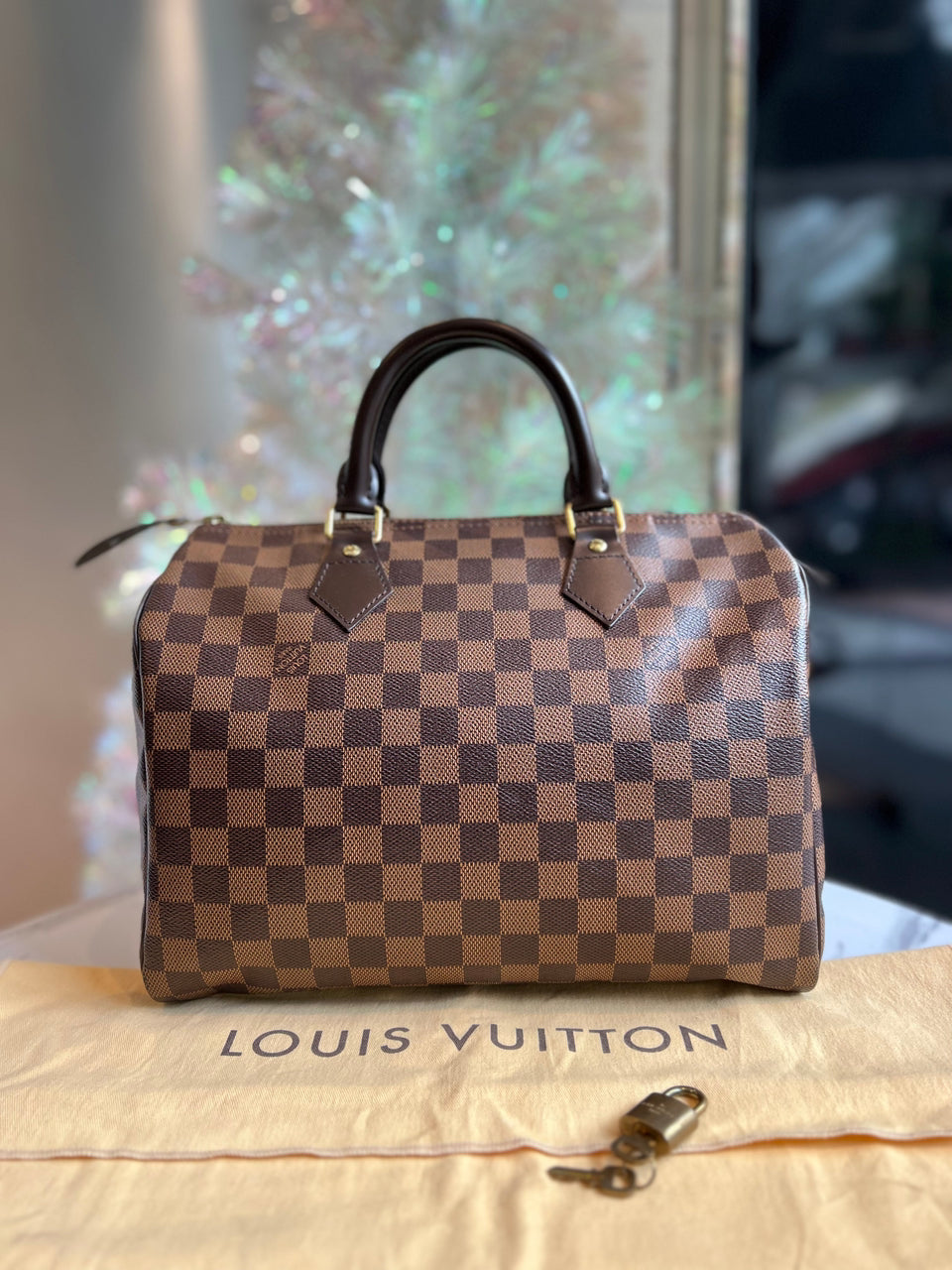 LOUIS VUITTON Speedy 30 Damier Ebene Canvas - Reeluxs 