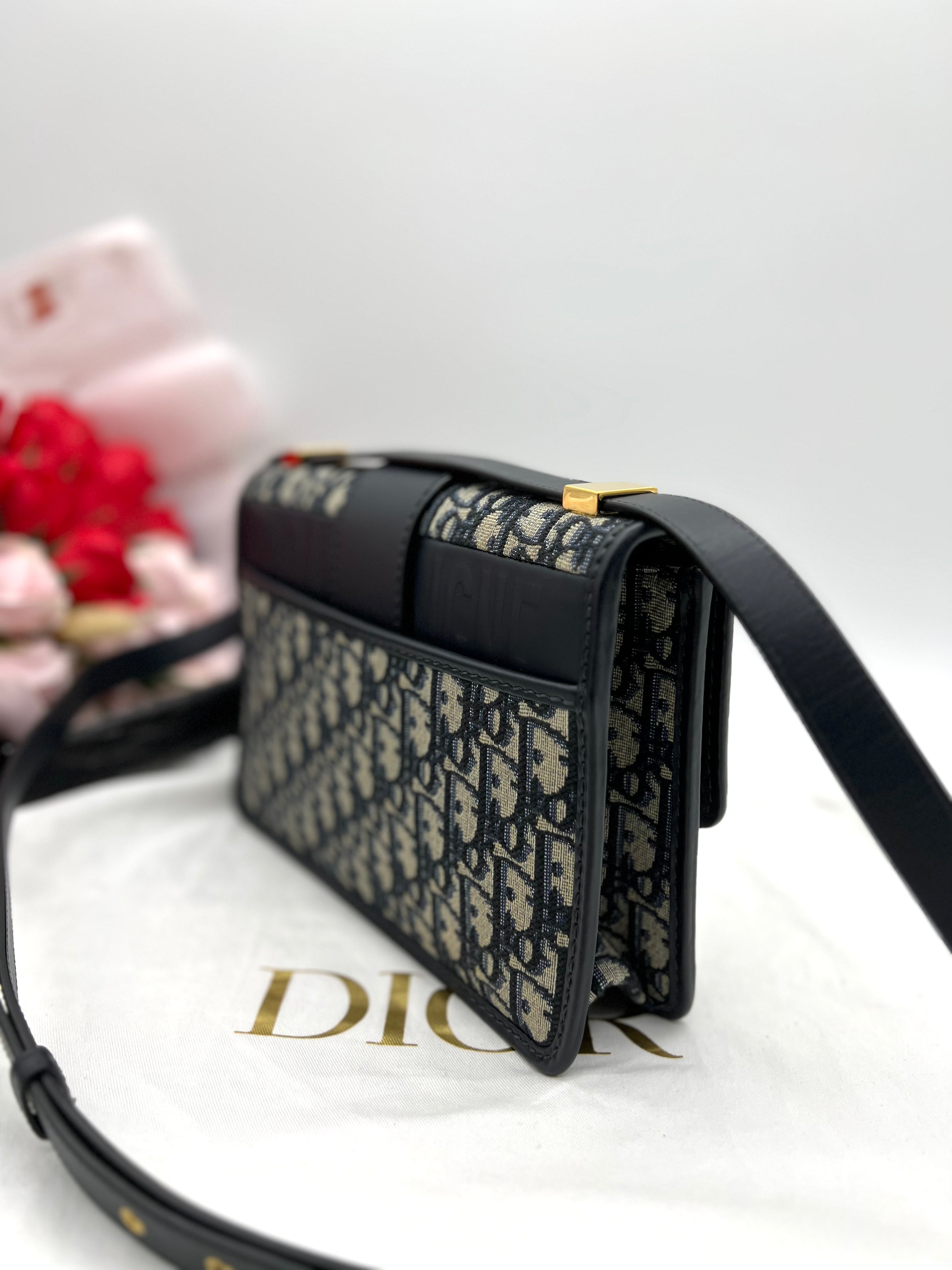 CHRISTIAN DIOR Oblique Montaigne Crossbody - Reeluxs 