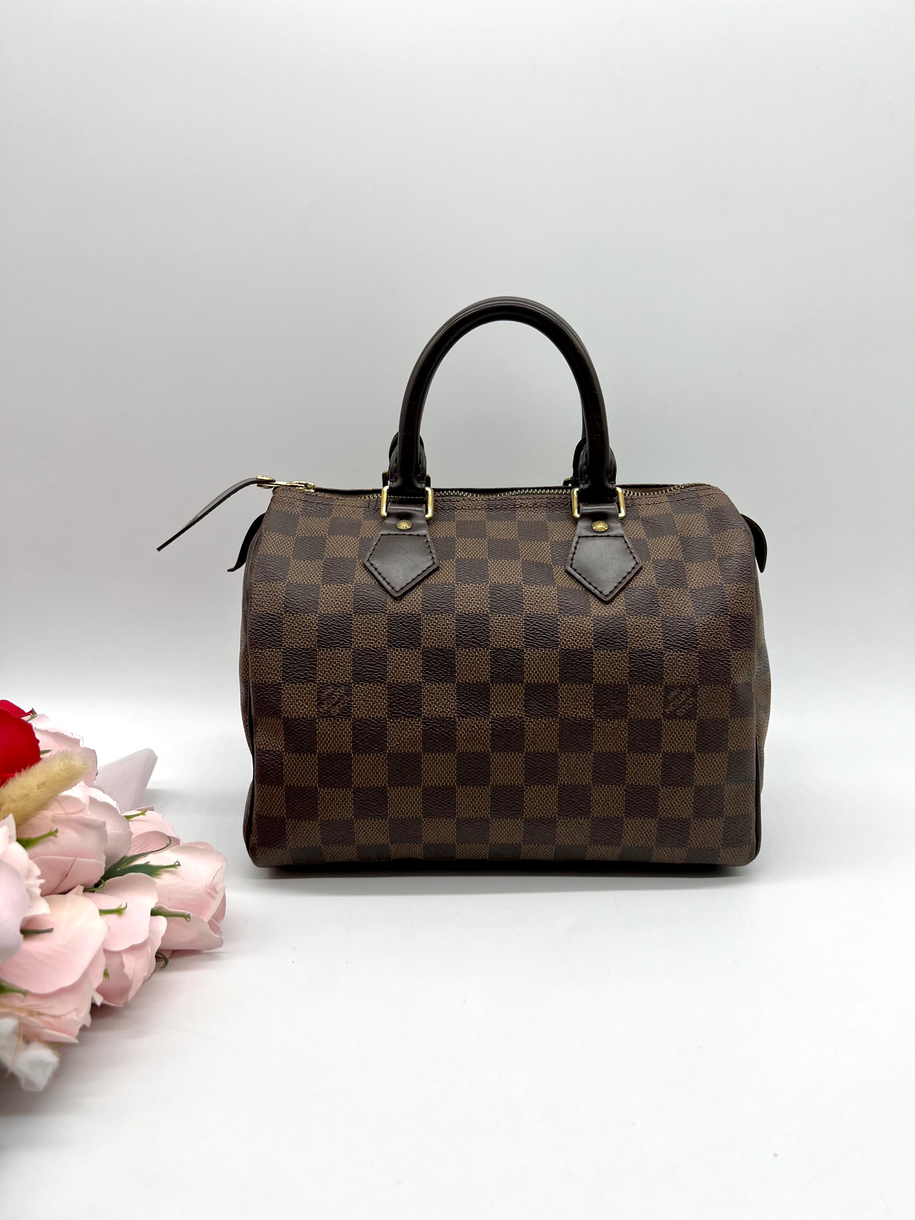 Louis Vuitton Speedy 25 Damier Canvas Bag - Reeluxs 