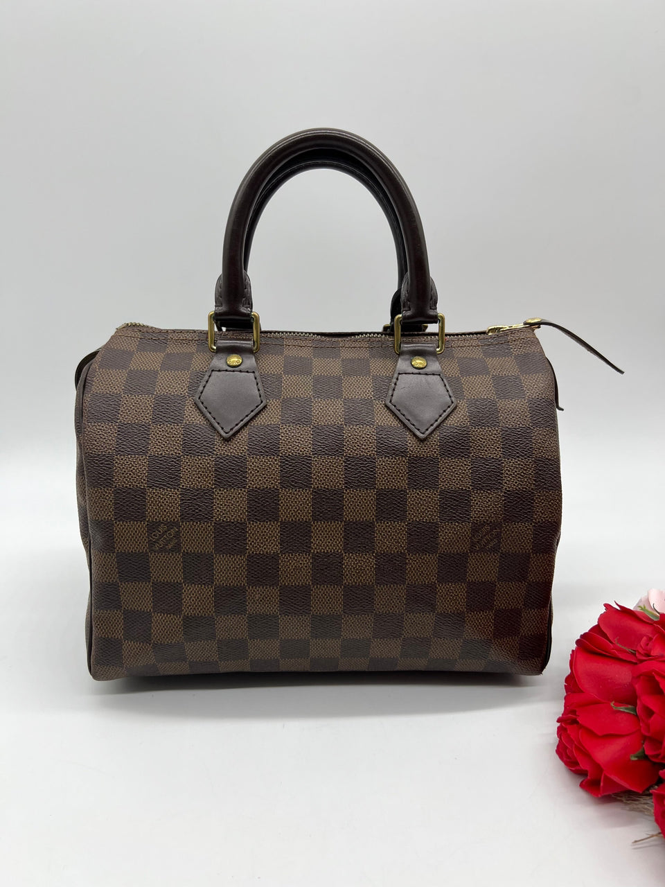 Louis Vuitton Speedy 25 Damier Canvas Bag - Reeluxs 