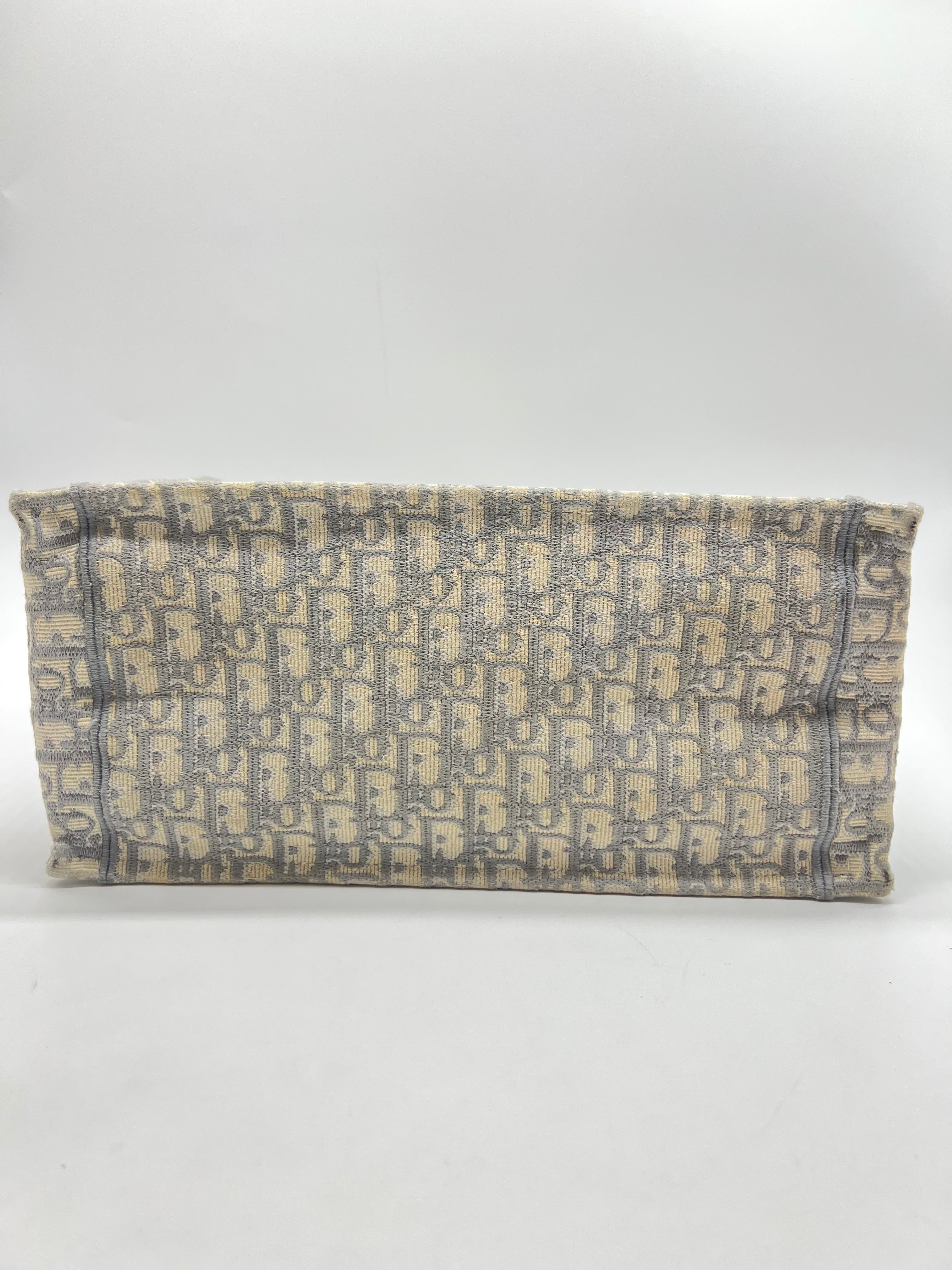 CHRISTIAN DIOR Book tote hand bag M1296ZRIW canvas Gray Used - Reeluxs 
