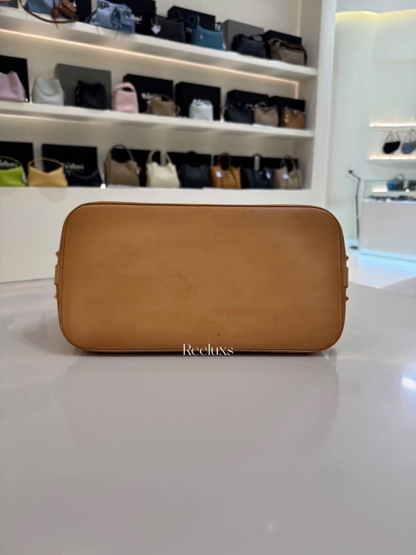 LOUIS VUITTON Alma PM Monogram Multicolor Bag