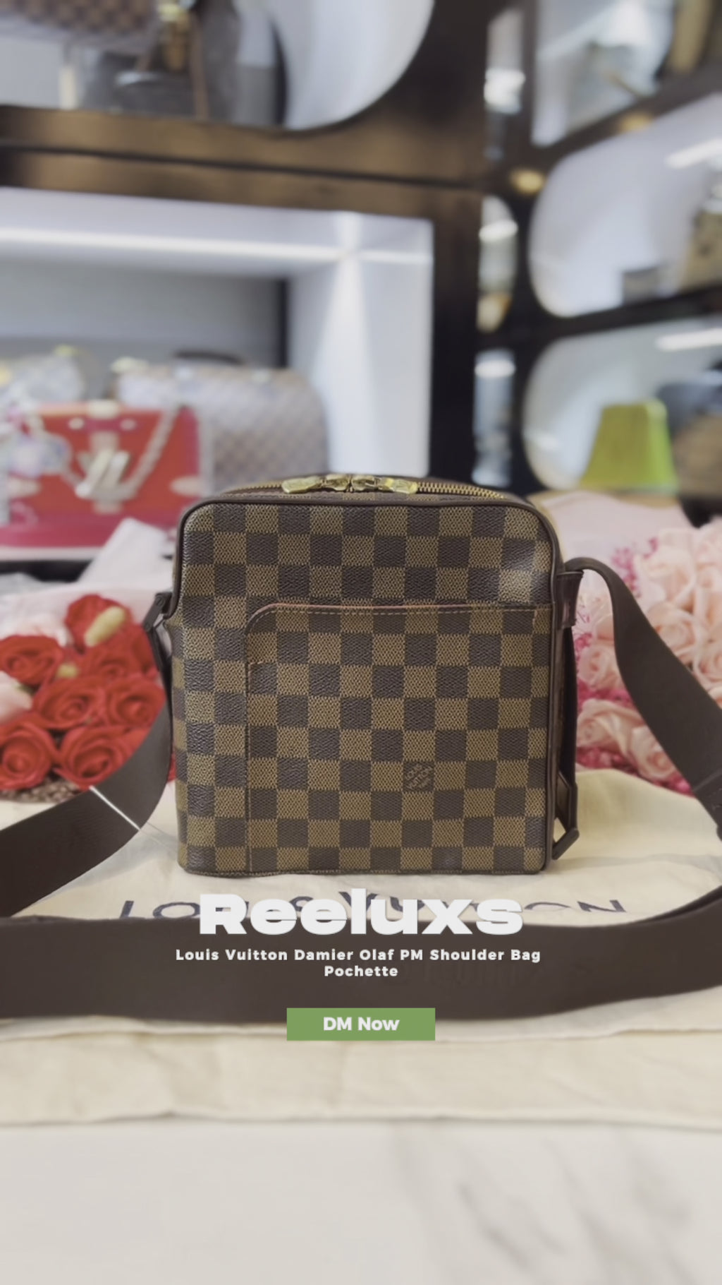 LOUIS VUITTON Damier Olaf PM Shoulder Bag Pochette