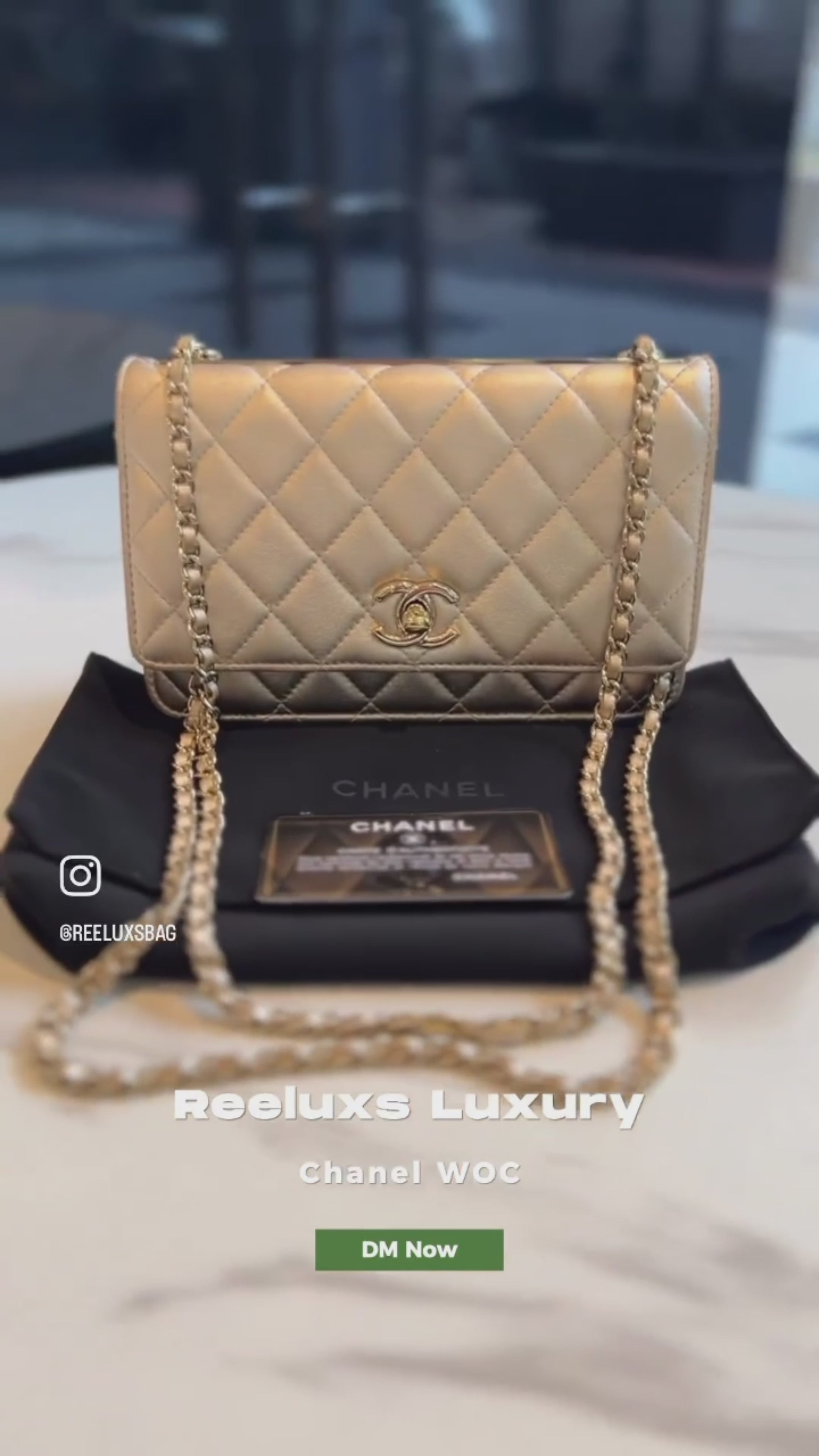 Chanel Iridescent Beige Woc