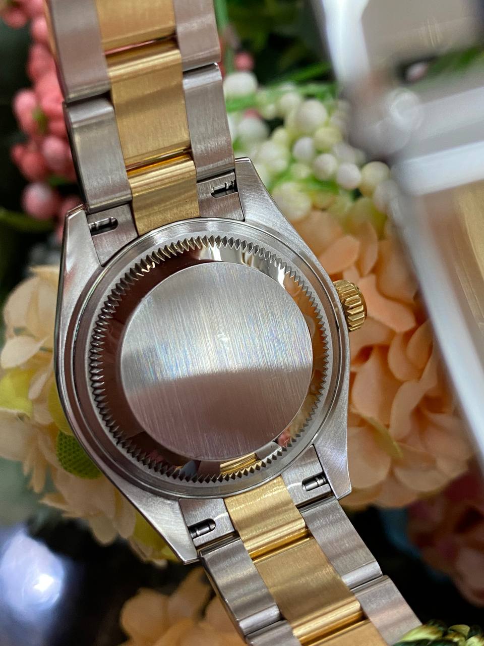 Rolex Datejust Champagne Roman Dial Ladies Watch Ref: 279173 -full Set- - Reeluxs 